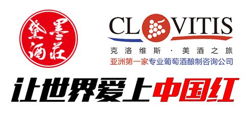 當(dāng)代咨詢視角下，成功紅集團(tuán)如何借助企業(yè)管理咨詢實(shí)現(xiàn)轉(zhuǎn)型升級(jí)